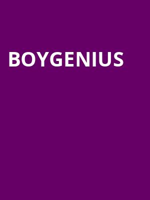 Boygenius Poster