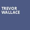 Trevor Wallace, College Street Music Hall, New Haven