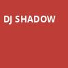 DJ Shadow, College Street Music Hall, New Haven